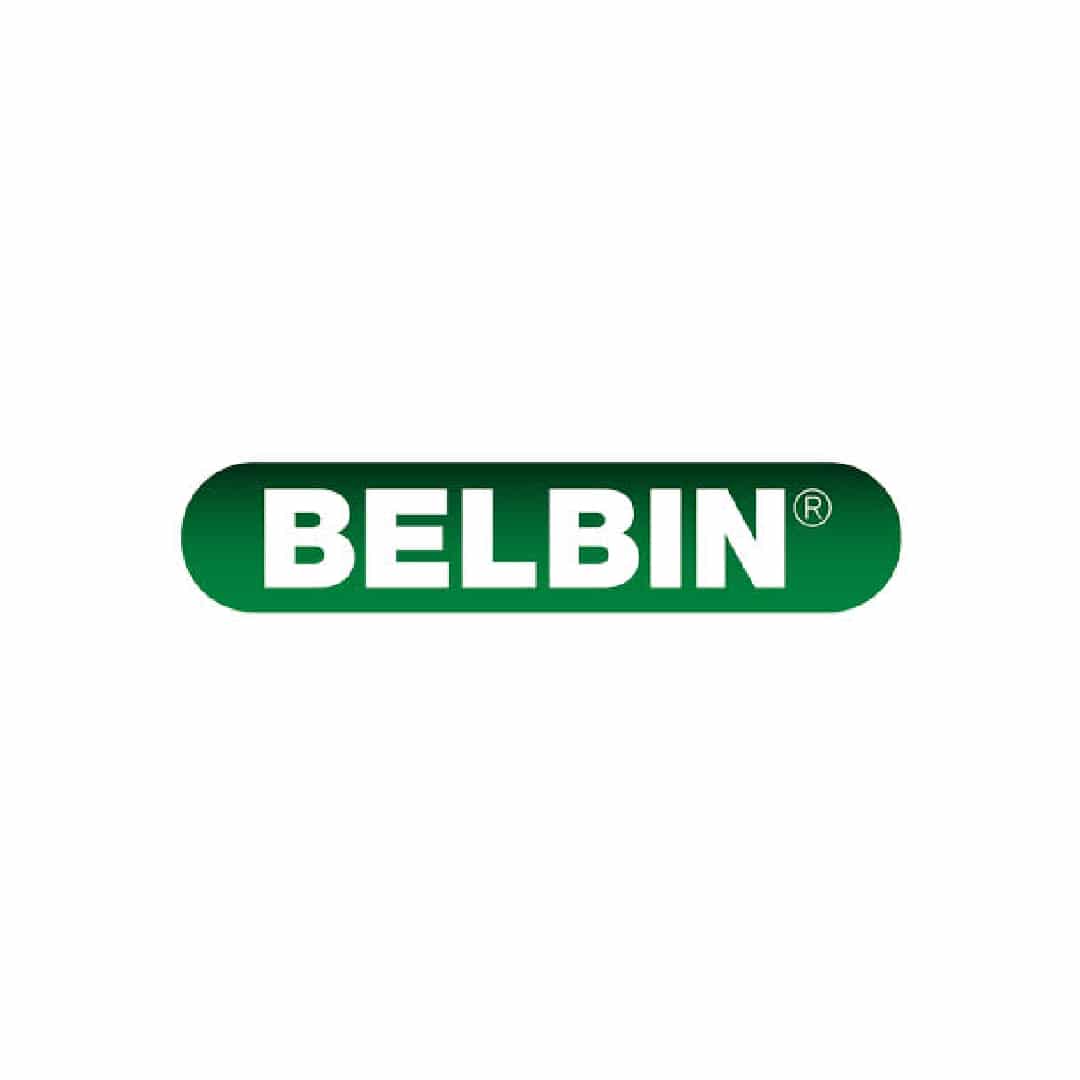 Logo Belbin